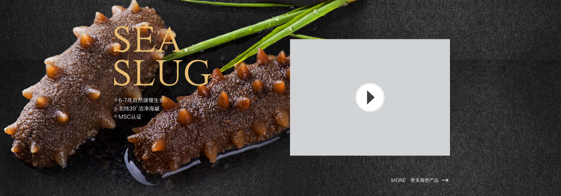 獐子岛天猫首页v2.0 PC